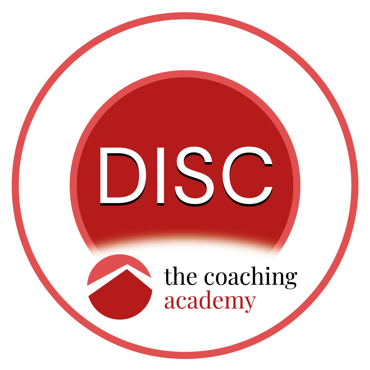 5 Sales DISC Profiles